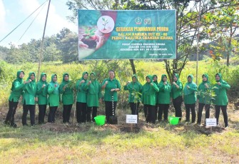 Foto istimewa