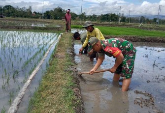 Olah lahan petani desa binaan