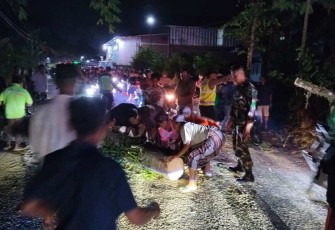 Evakuasi pohon tumbang di jalan