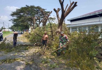 Pangkas pohon di wilayah desa binaan