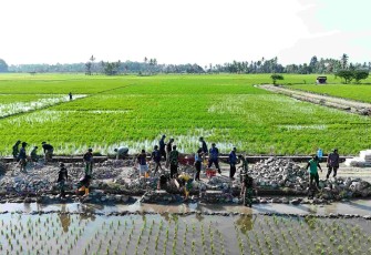 Pembangunan jalan tani desa Tanratuo