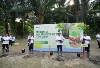 Holding Perkebunan Nusantara melalui PalmCo Targetkan Tanam 50.000 Pohon