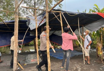 Respon Cepat 110 Polresta Sidoarjo Bongkar Arena Sabung Ayam di Ploso Krembung