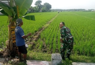 Pendampingan petani wilayah desa binaan 