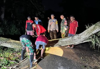 TNI-Polri Sigap Evakuasi Pohon Tumbang Akibat Cuaca Ekstrem di Trenggalek