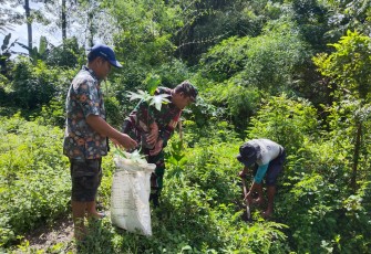Babinsa Kebonsari Dampingi Warga Tanam Pohon Sukun