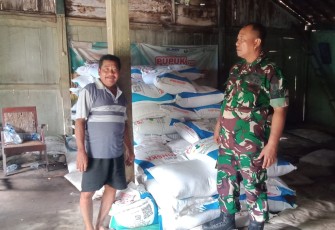 Pendistribusian pupuk subsidi 