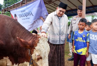 Bupati dan Wakil Bupati Bintan Hadiri Sholat Idul Adha, Serahkan Sapi Kurban Presiden RI
