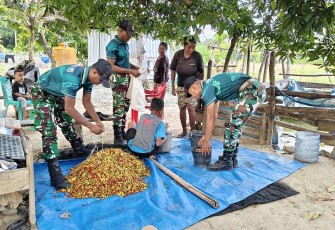 Yonarmed 12 Kostrad dan Warga Motamasin Perkuat Kemandirian Pangan