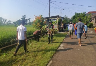 Semangat Gotong Royong Tak Pernah Padam, Babinsa dan Warga Plumpung Kidul Bersihkan Jalan Desa