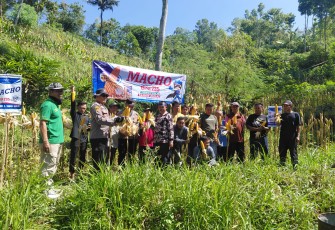 Polres Pacitan Genjot Produktivitas Jagung di Bandar, Dampingi Petani dan Evaluasi Kualitas Benih