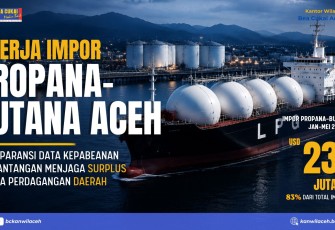 Pelabuhan Lhokseumawe Jadi Gerbang Energi Sumatera, Aceh Didorong Percepat Hilirisasi untuk Kejar Devisa Ekspor