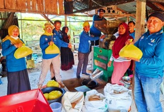 Petani Sumringah Saat Hasil Panen Padi Mulai Digilin