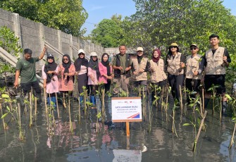 KAI Logistik Lanjutkan Komitmen Keberlanjutan Melalui Penanaman 270 Bibit Mangrove