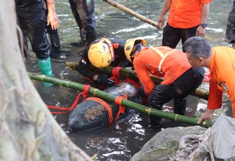 Polres Blitar Kota bersama Tim Penjinak Bom (Jibom) Brimob Polda Jawa Timur berhasil mengamankan sebuah bom udara (aircraft bomb) yang ditemukan di aliran Sungai Jalan Manggar, Kecamatan Sukorejo, Kota Blitar