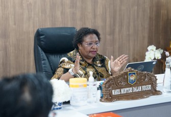 Wakil Menteri Dalam Negeri (Wamendagri) Ribka Haluk 