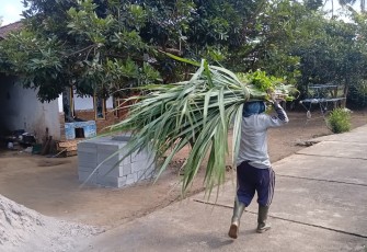 Antusias warga melintasi jalan rabat dusun Lembenah