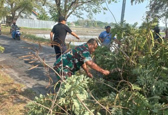 Jalan Pilang Widya Sempat Tertutup Pohon Tumbang, Babinsa dan Warga Bergerak Cepat