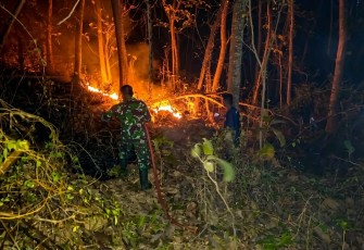 Kebakaran lahan tebu di Kecamatan Wonoasri