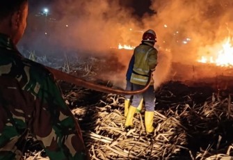 Padamkan api di lahan tebu Bangunsari