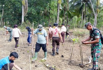 Koramil 0806-11/Panggul Tanam Mangrove di Pantai Kili-Kili