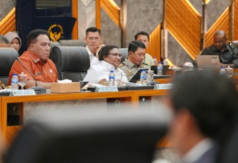Wakil Menteri Dalam Negeri (Wamendagri) Ribka Haluk