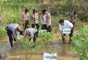 Polres Trenggalek Tanam Mangrove dan Lepas Liarkan Ratusan Tukik