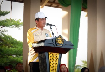 Gubernur Kepri, Ansar Ahmad