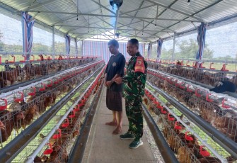 Babinsa Sirapan saat Kawal Semangat Swasembada Desa