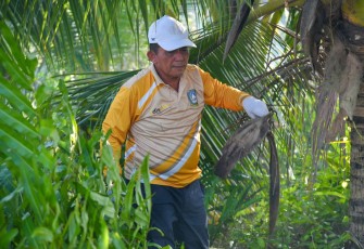 Gubernur Ansar saat Pimpin Gotong Royong di Pulau Penyengat