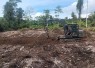 Pembukaan lahan ketahanan pangan di kampung Sesor