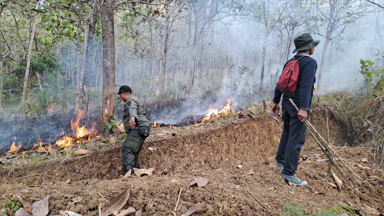 tni