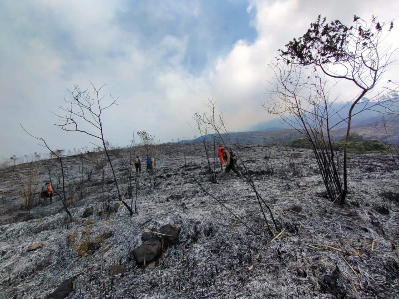 lereng gunung arjuno