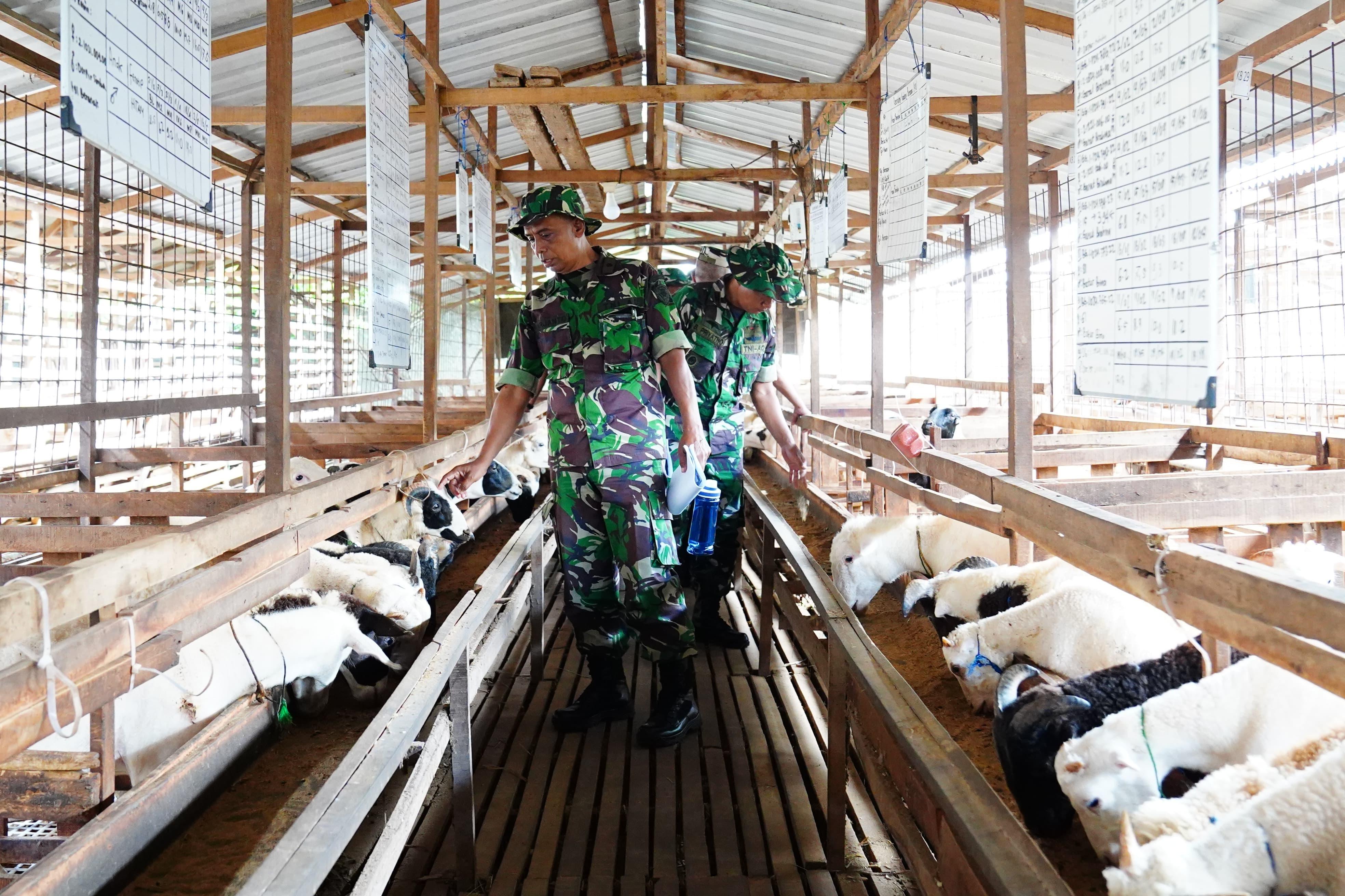 Tni