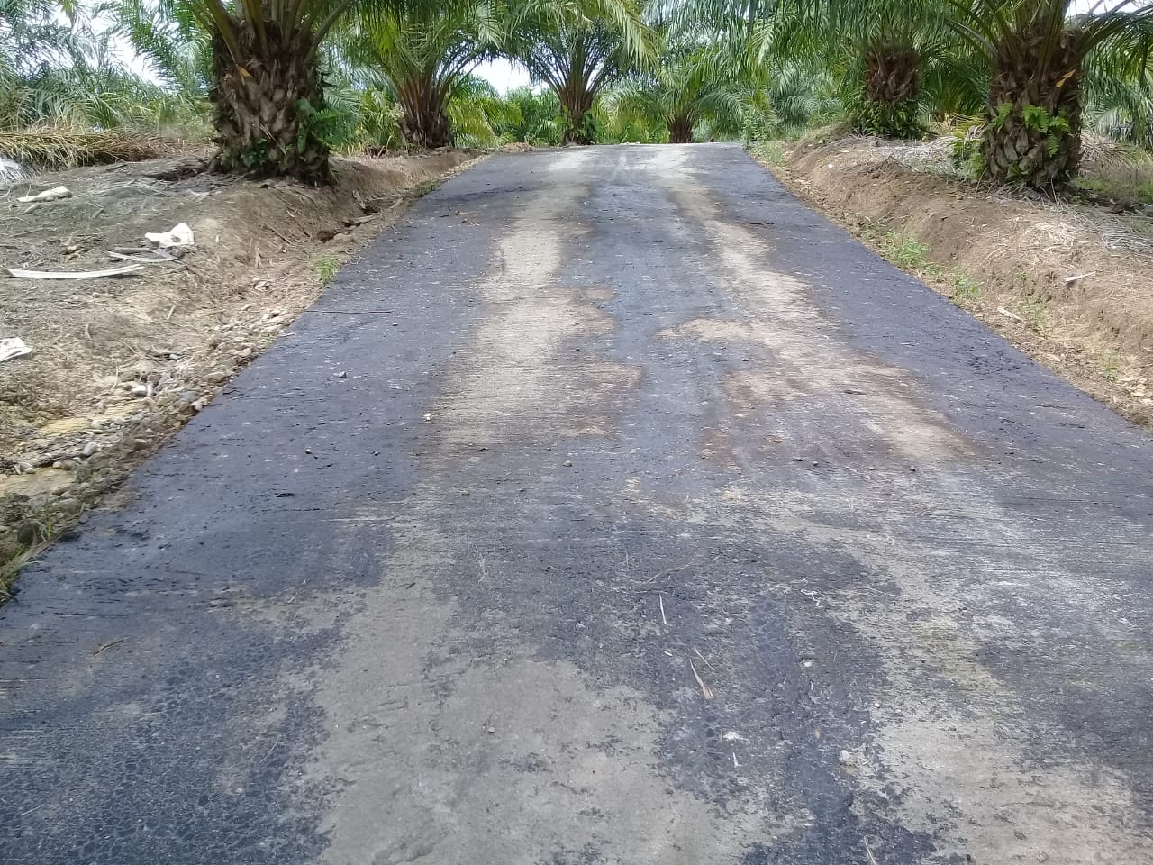sss