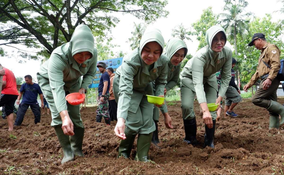 tni