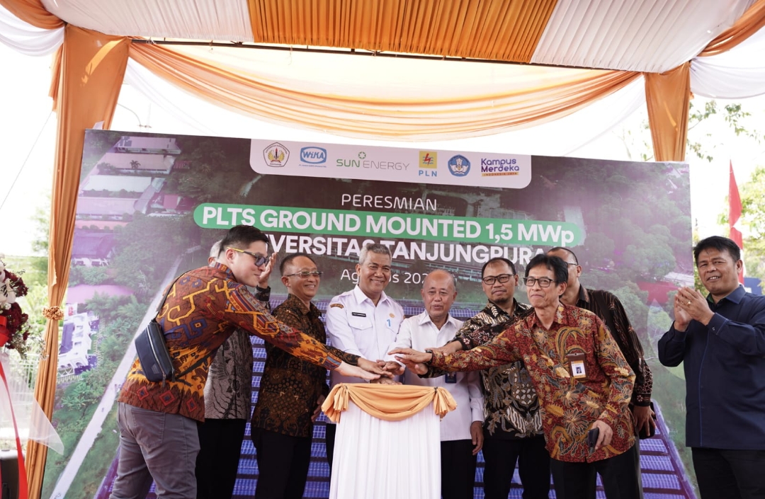 PLN