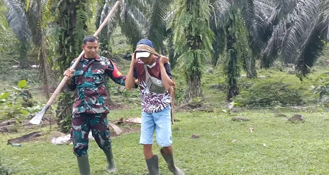tni