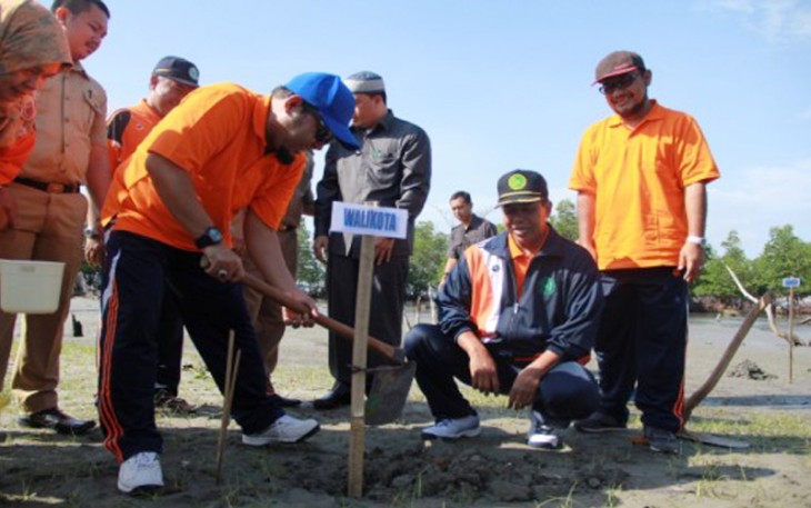 Walikota Bengkulu H. Helmi Hasan  saat  penanaman mangrove kerjasama CSR Pertamina dan Universitas Muhammadiyah Bengkulu (UMB)