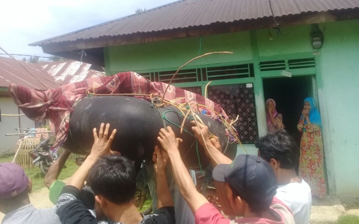 Korban saat dievakuasi dan dibawa kerumah duka