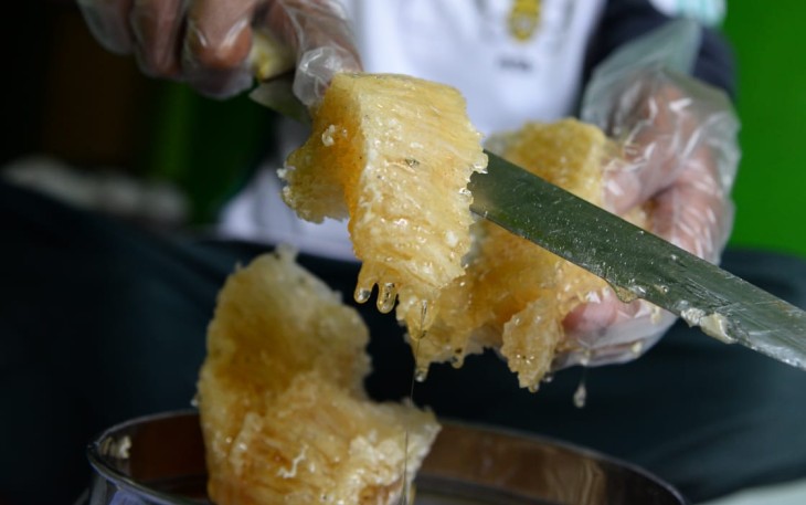 Madu Hutan di Desa Batudulang