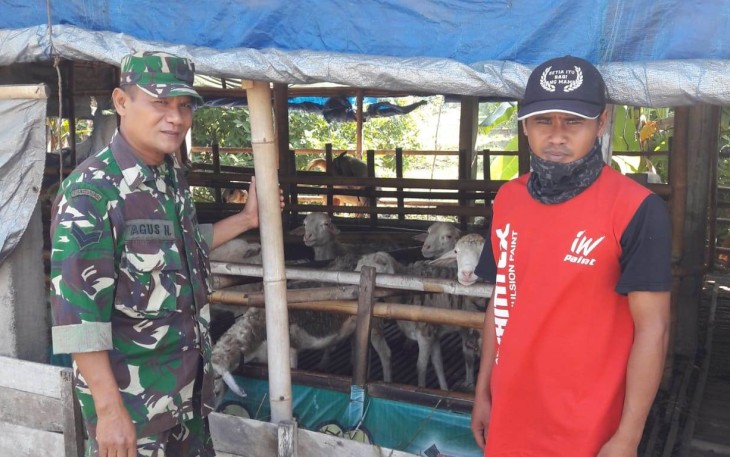 Kerja Di TMMD Sambil Belajar Ilmu Ternak Kambing