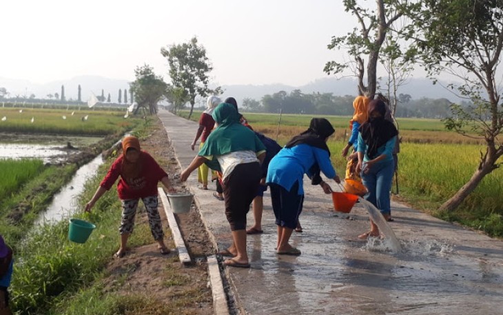 PKK RW 25 Turun Kejalan Siram Hasil Betonisasi TMMD Kodim Klaten