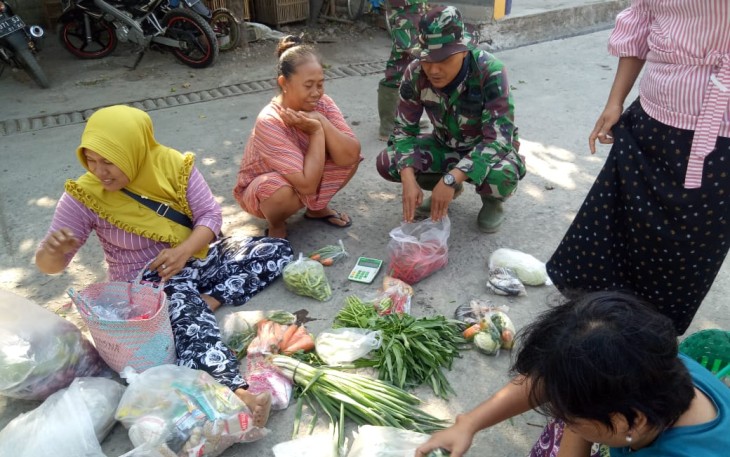 Disarankan Tanam Cabai di Poliback