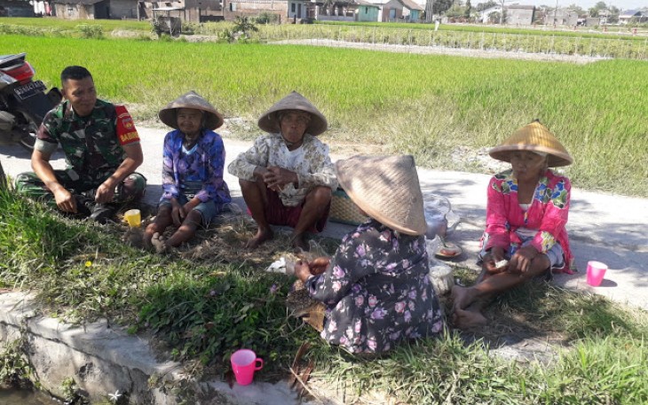 Untuk Selalu Menjalin Keakraban Babinsa Komsos Dengan Para Petani