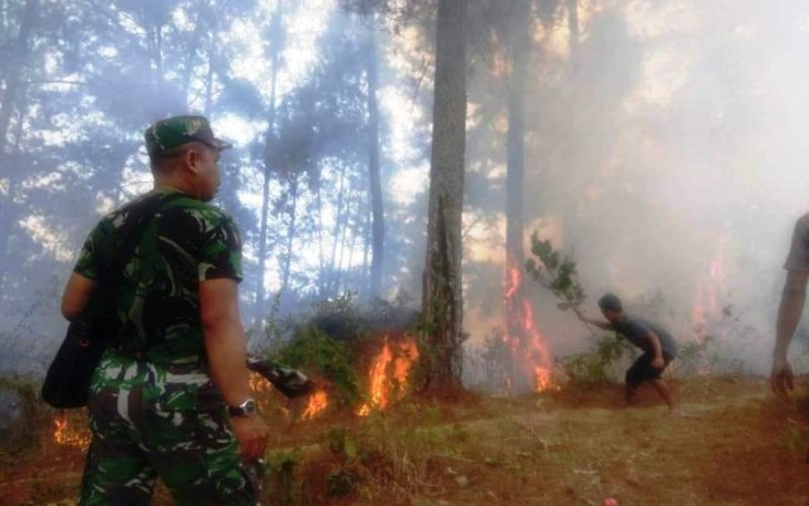 Lahan Milik Perhutani BKPH Bantarkawung Brebes Berhasil Dipadamkan