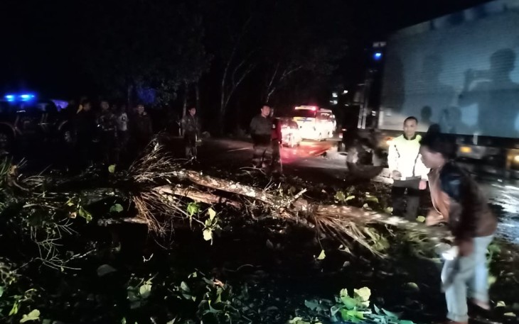 Anggota TNI-Polri Bersama warga lakukan evakuasi pohon tumbang