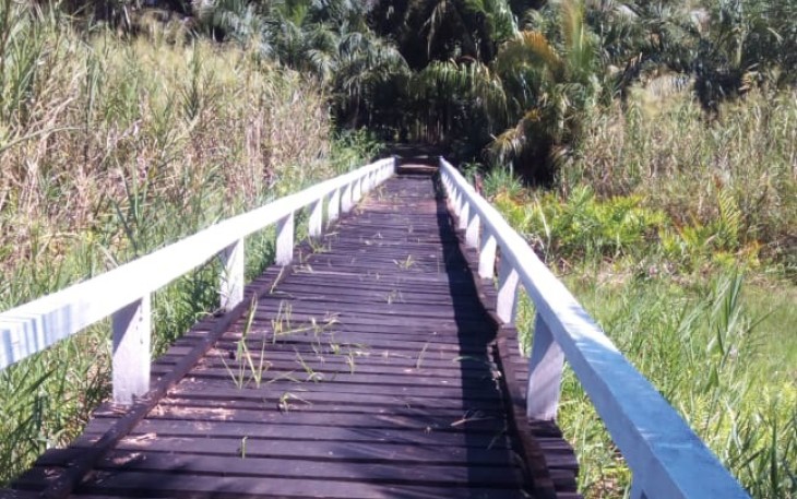 Jembatan penghubung persawahan Meunumbok-Ujonnga