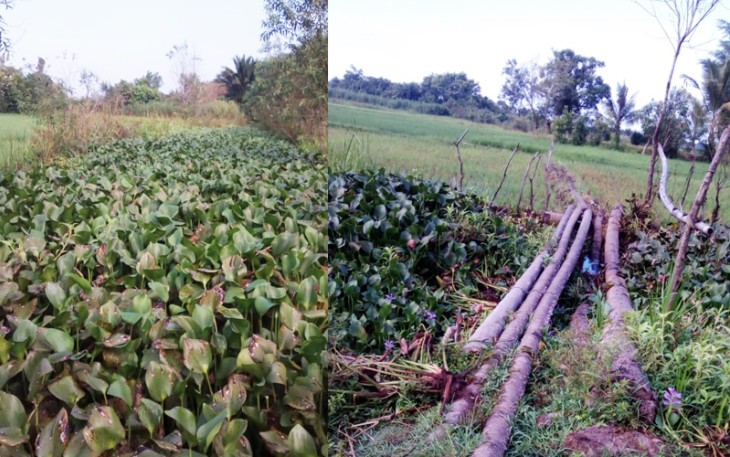 Saluran Irigasi Cot Gut