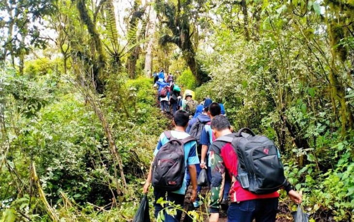 Ribuan Relawan Tanam Bibit Kayu Keras di Lereng Gunung Slamet